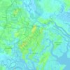 Mappa topografica Savannah, altitudine, rilievo