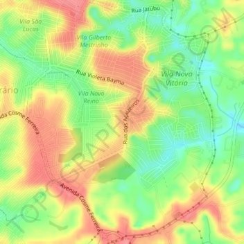 Mappa topografica Gilberto Mestrinho, altitudine, rilievo