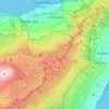 Mappa topografica La Orotava, altitudine, rilievo