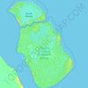 Mappa topografica Ilha de Maracá, altitudine, rilievo
