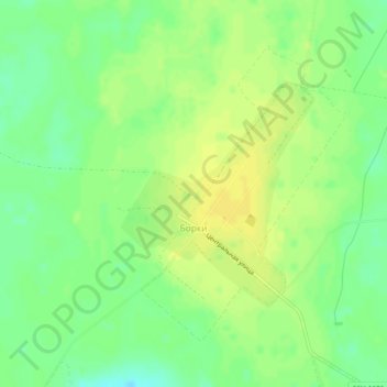 Mappa topografica Борки, altitudine, rilievo