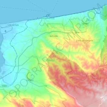 Mappa topografica Ischitella, altitudine, rilievo