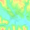 Mappa topografica Eustis, altitudine, rilievo