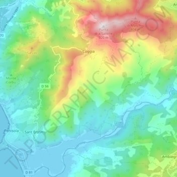 Mappa topografica Coggia, altitudine, rilievo