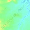 Mappa topografica Basgaon, altitudine, rilievo