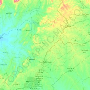 Mappa topografica Los Palmitos, altitudine, rilievo