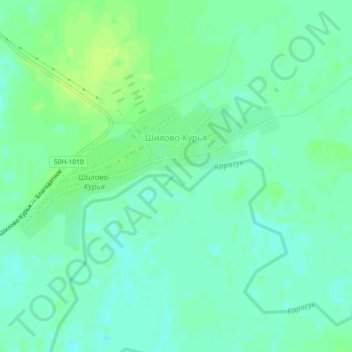 Mappa topografica Шилово-Курья, altitudine, rilievo