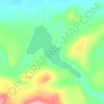 Mappa topografica Beaverdam Lake, altitudine, rilievo