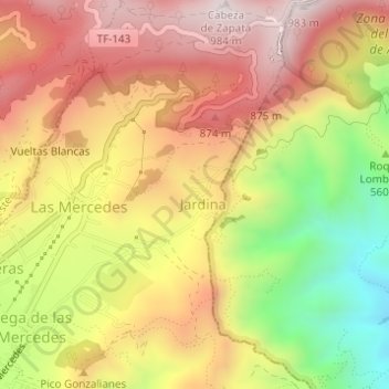 Mappa topografica El Gamonal, altitudine, rilievo