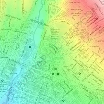 Mappa topografica Parque Selva Alegre, altitudine, rilievo