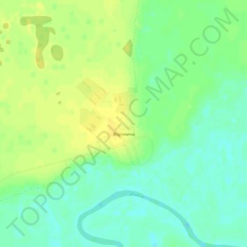 Mappa topografica Воронина, altitudine, rilievo